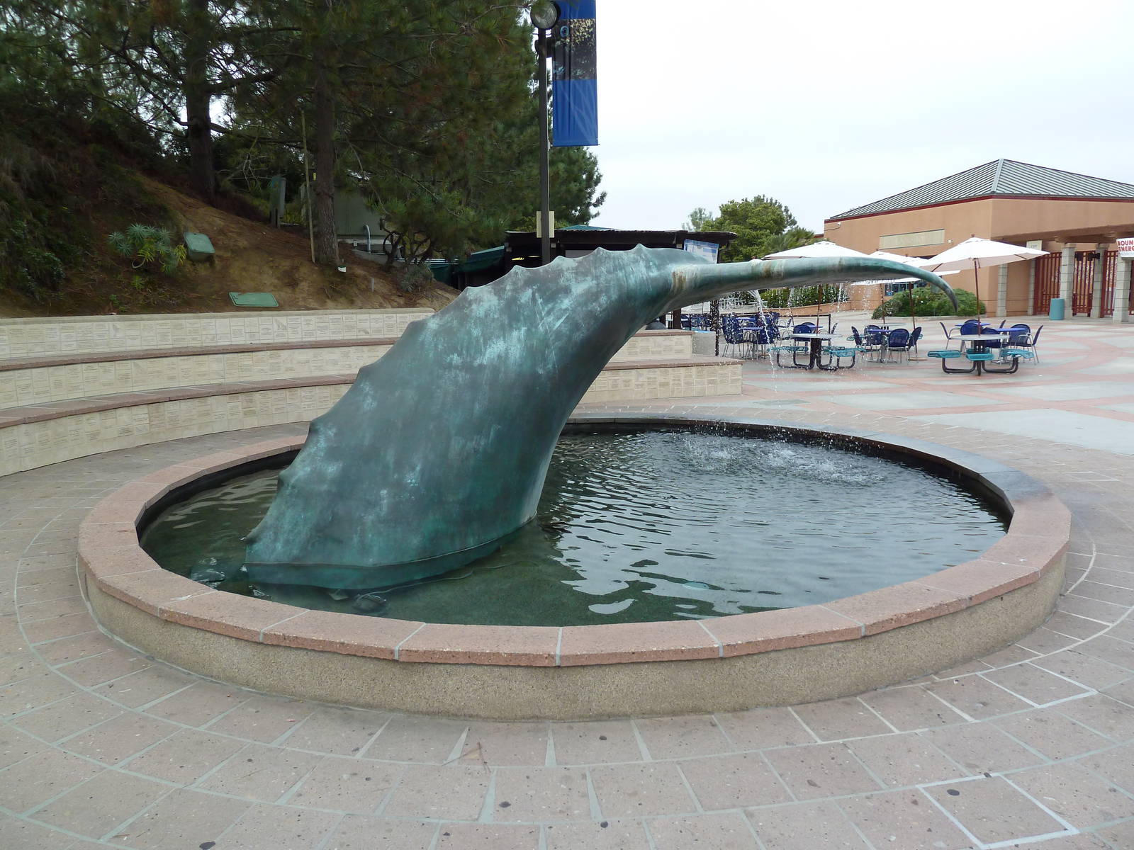 Entrance - Gray Whale Statue