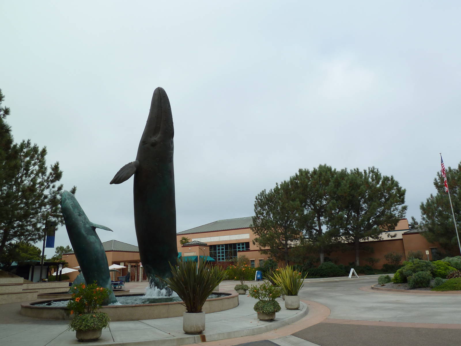 Entrance - Gray Whale Statues