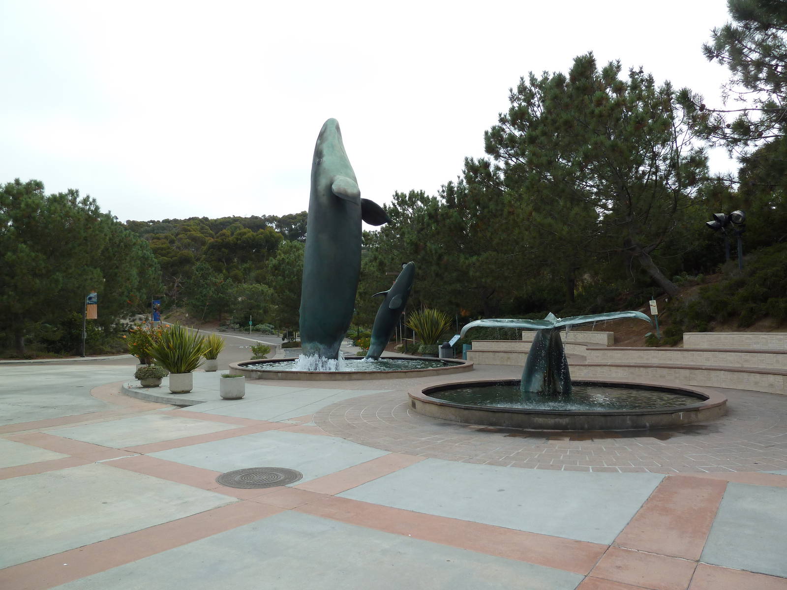Entrance - Gray Whale Statues