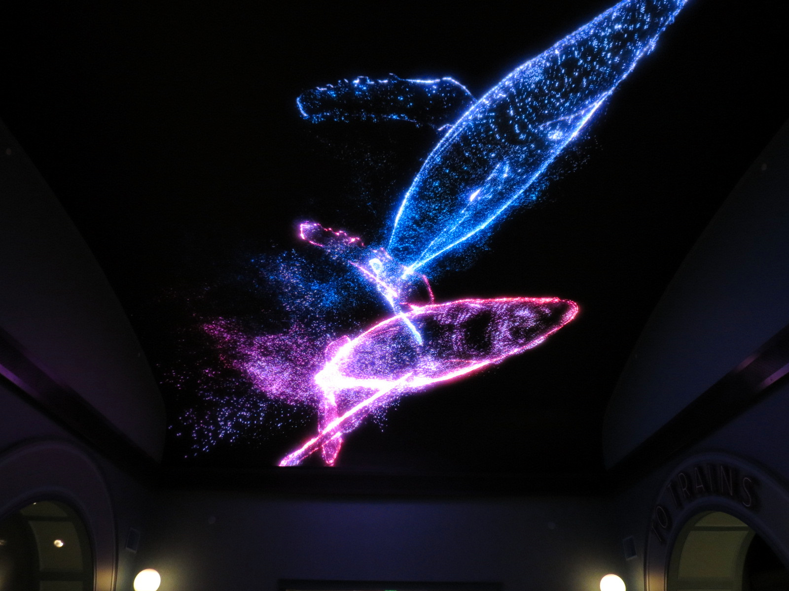 Entrance Hall - Giant Animated Overhead Screen