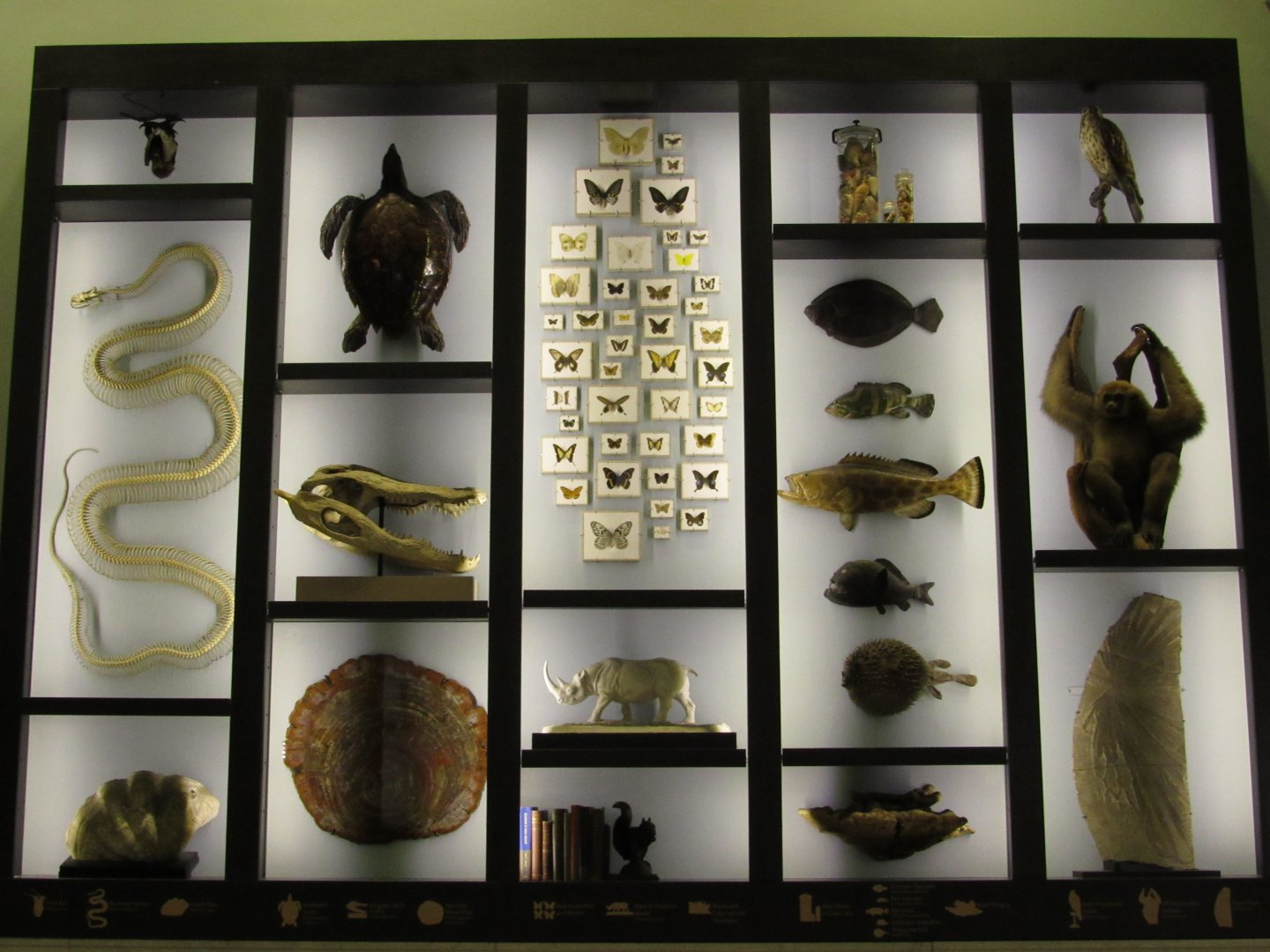 Entrance Hall Wall Panel 1