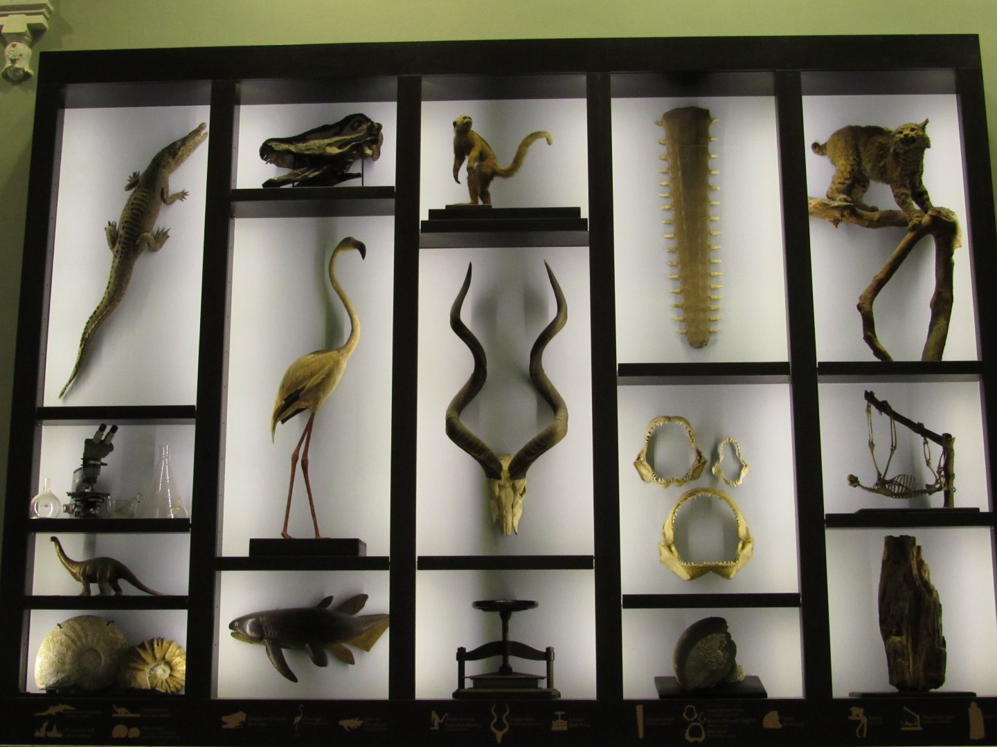 Entrance Hall Wall Panel 2