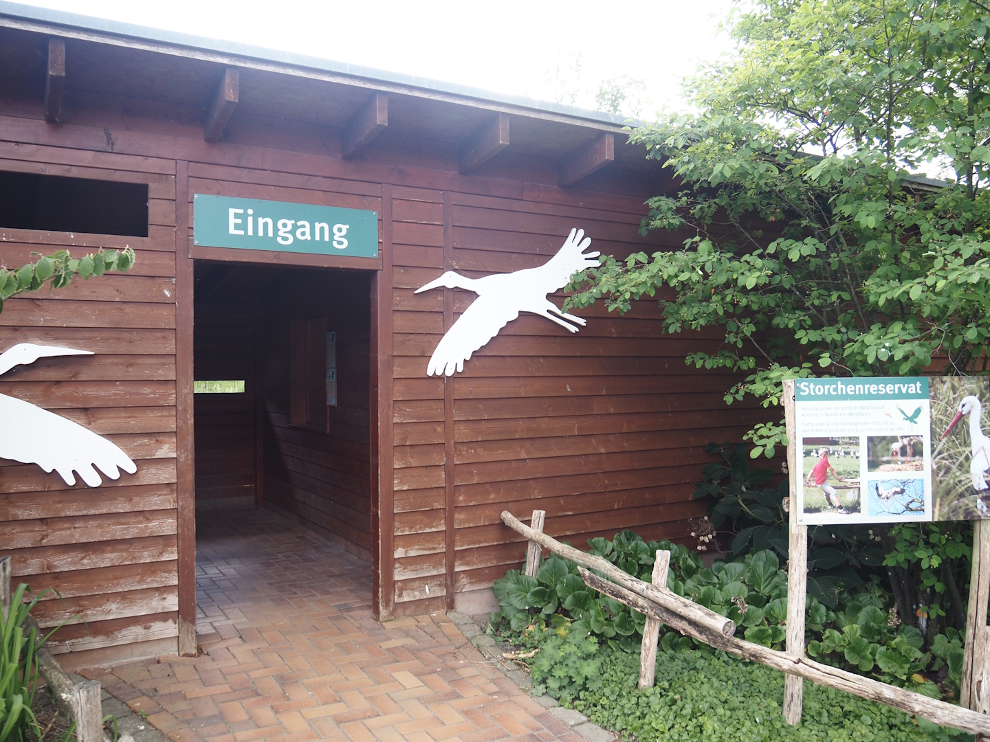 Entrance hide for the European white stork reserve and barn for Abdim's and Black storks, 2025-05-22