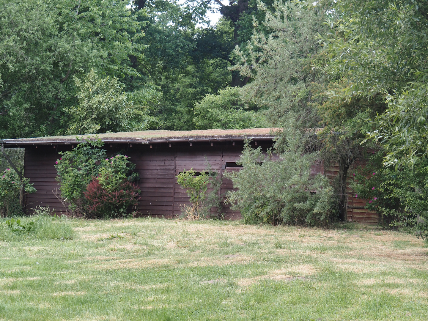 Entrance hide for the European white stork reserve and barn for Abdim's and Black storks, 2025-05-22