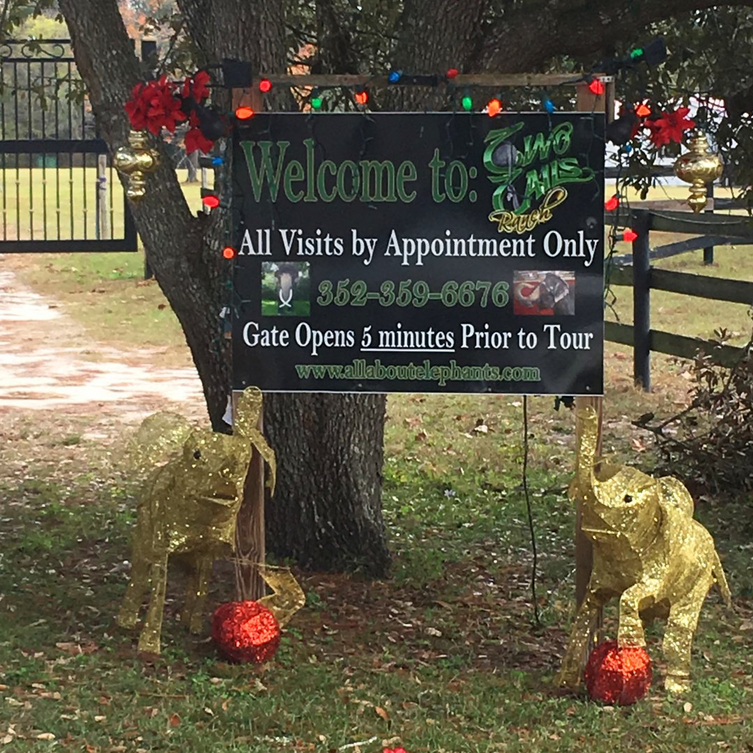 Entrance Holiday Decorations
