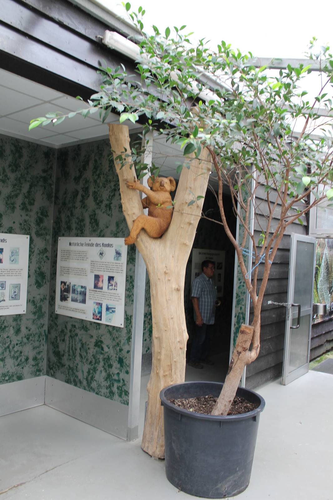 Entrance Koala House