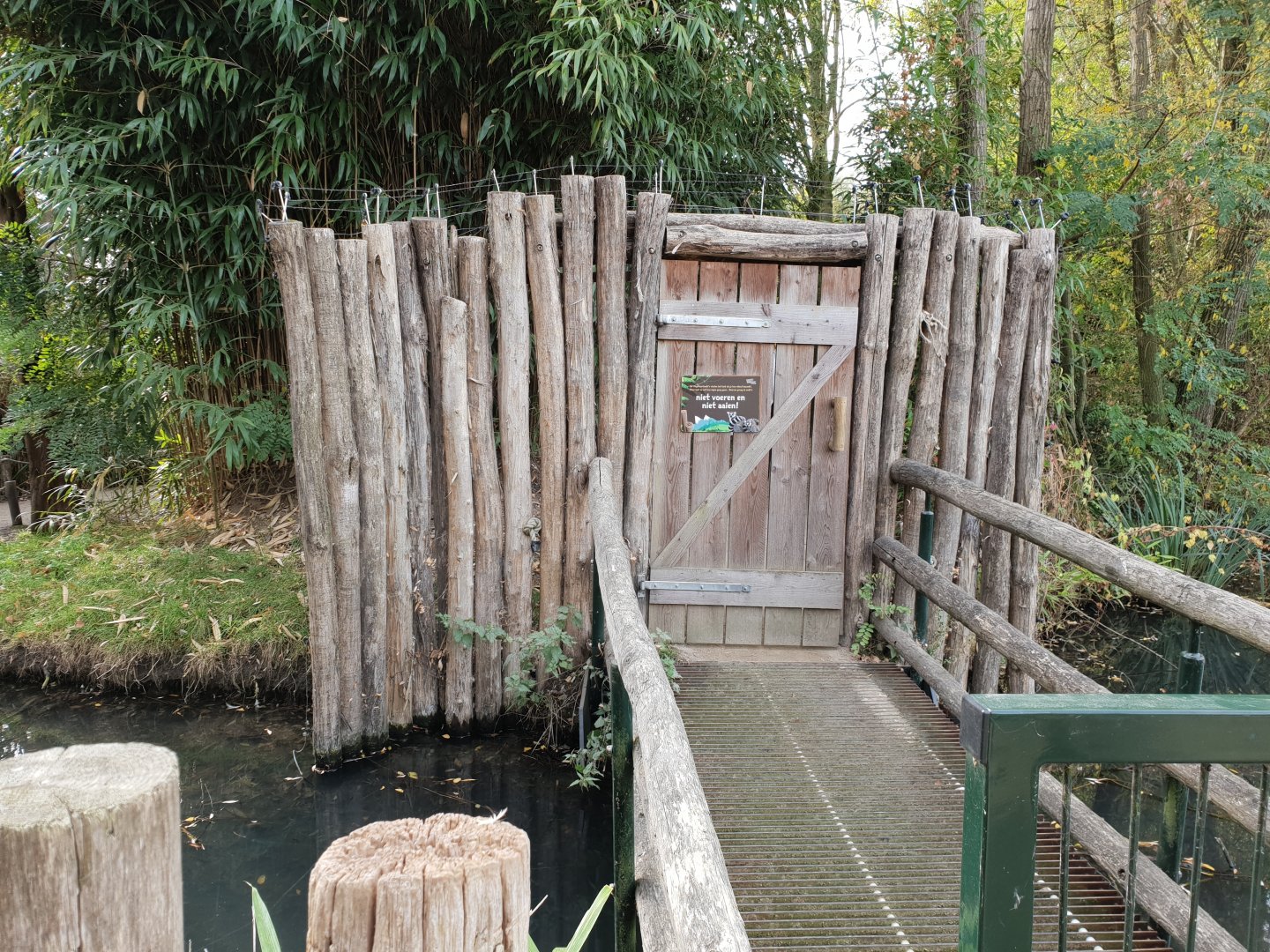 Entrance Lemur walk-through island