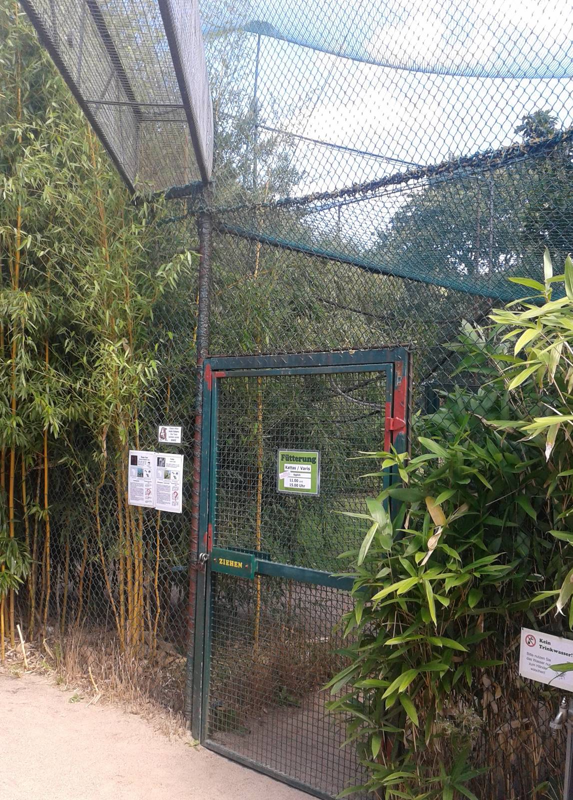 Entrance Lemur walk-through