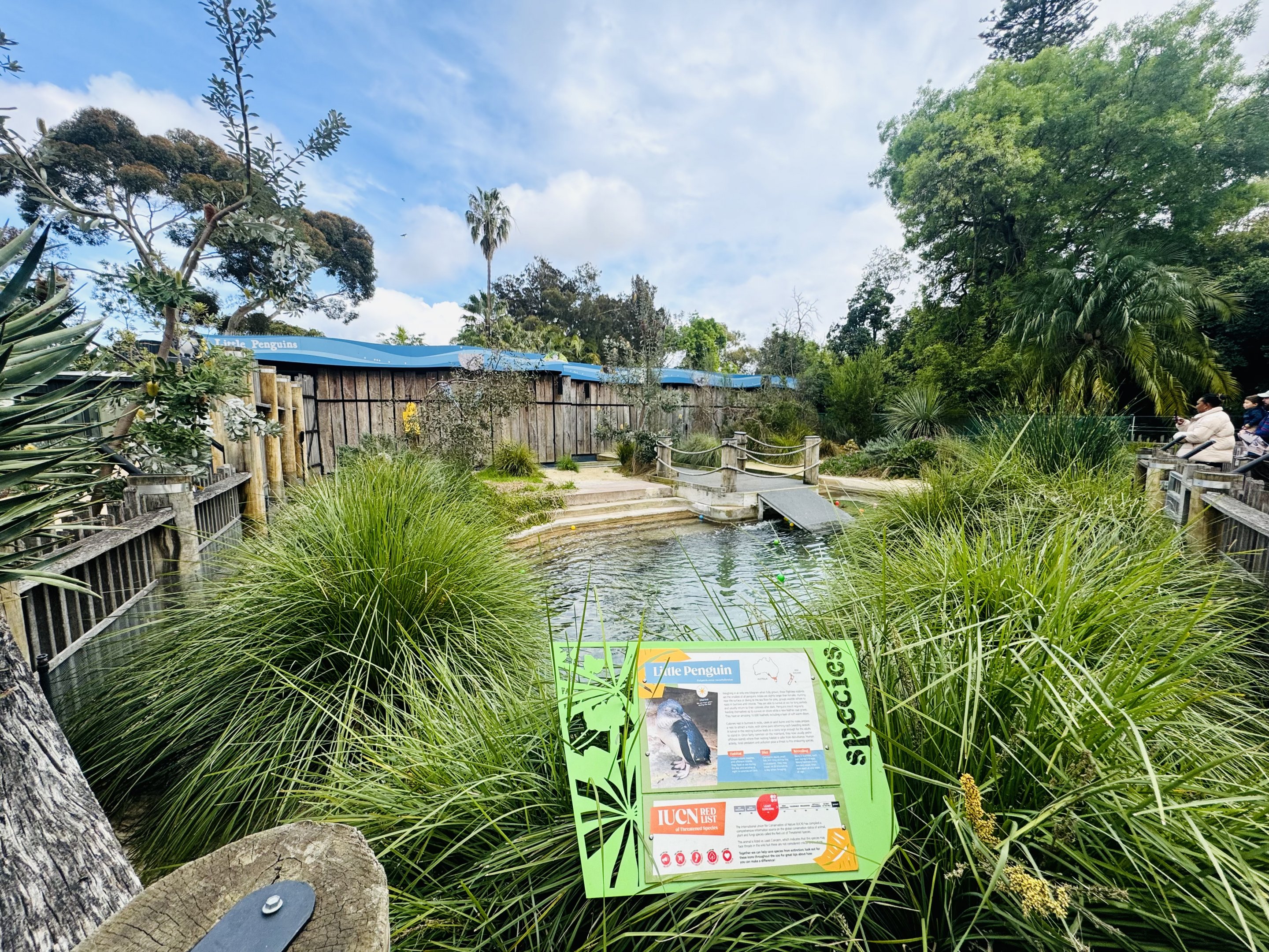 Entrance little penguin enclosure