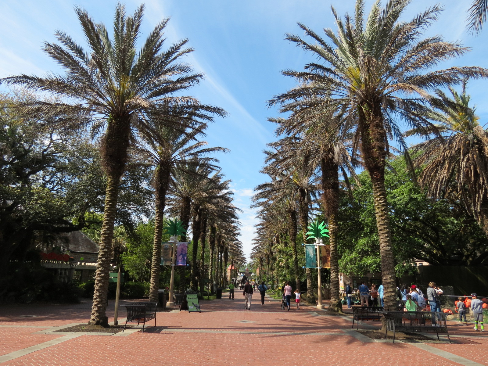 Entrance - Main Axis