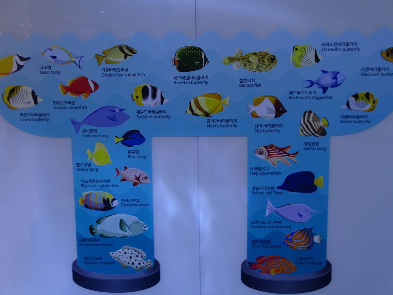 Entrance main tank's sign