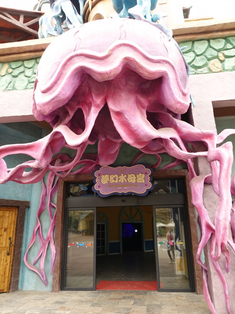 Entrance of jelly fishes house - 16.04.2018