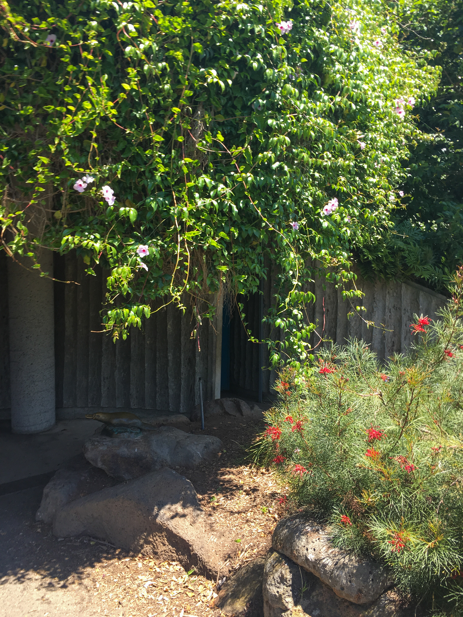 Entrance of Platypus House - December 2018