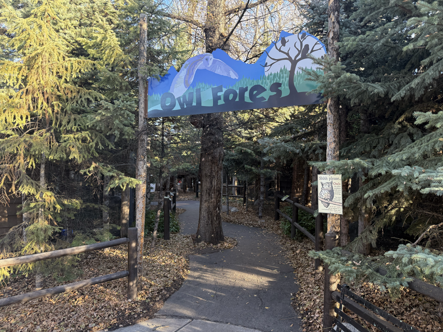 Entrance - Owl Forest