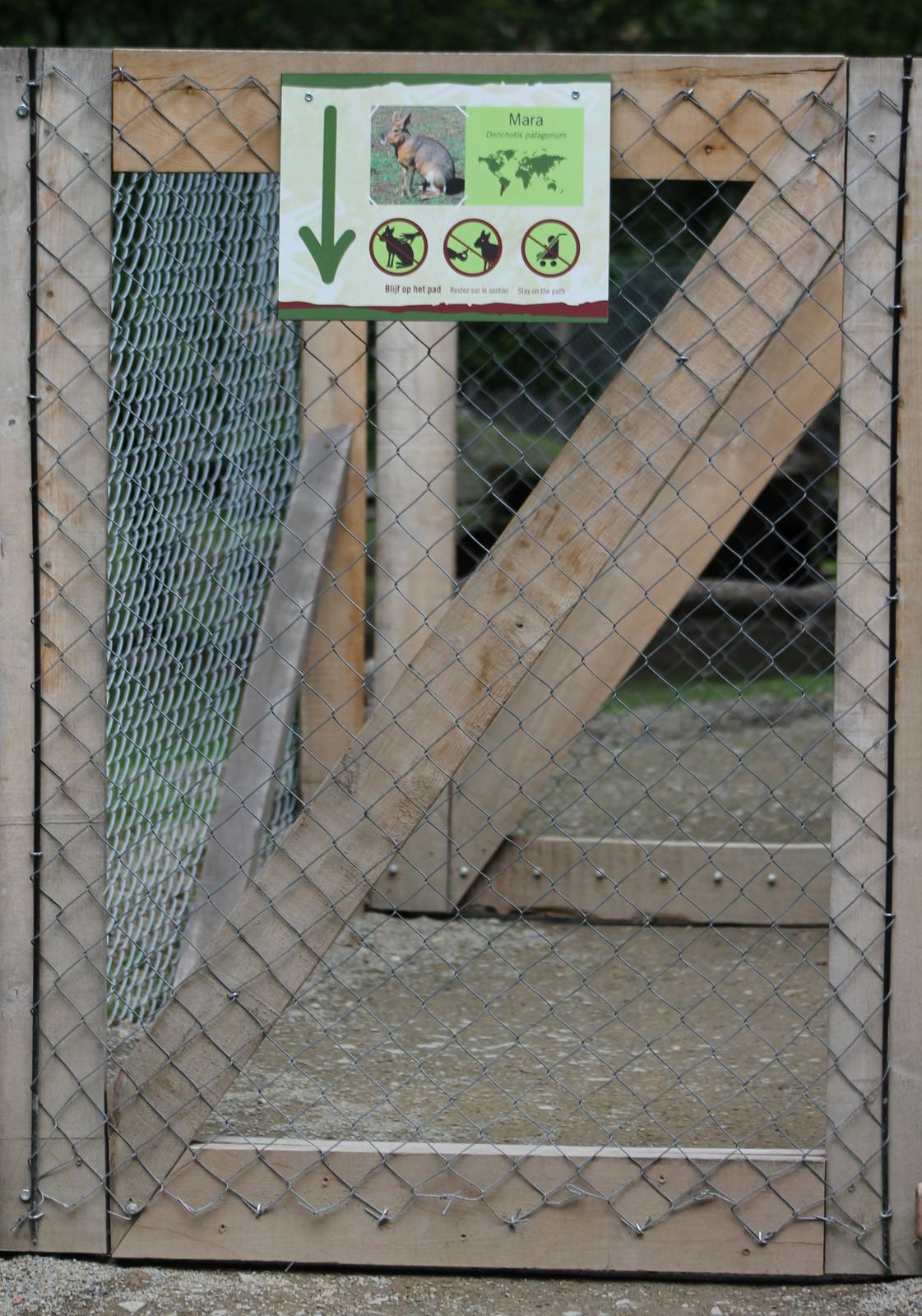 Entrance Patagonian mara walk-through enclosure