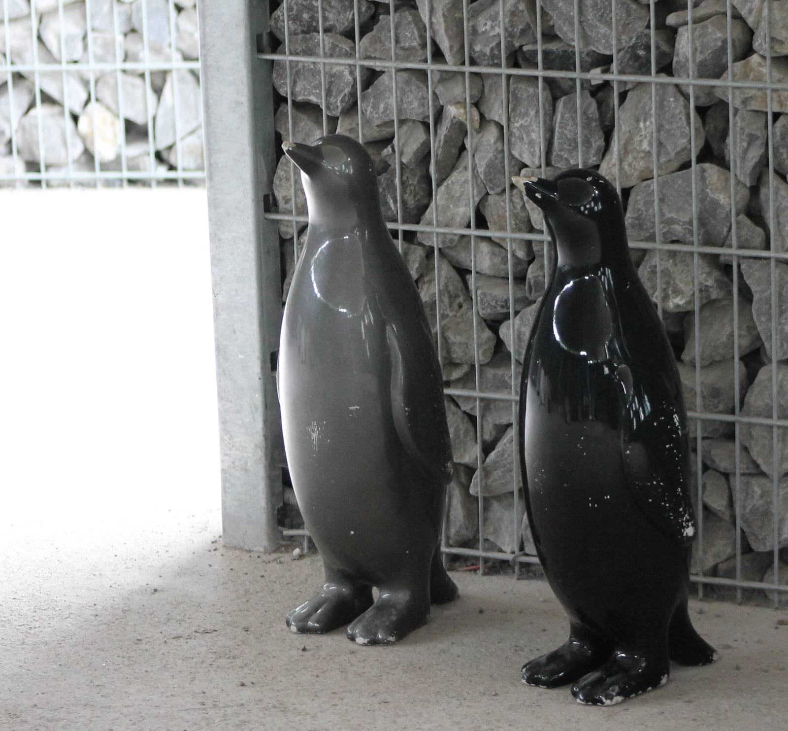 Entrance Penguin enclosure