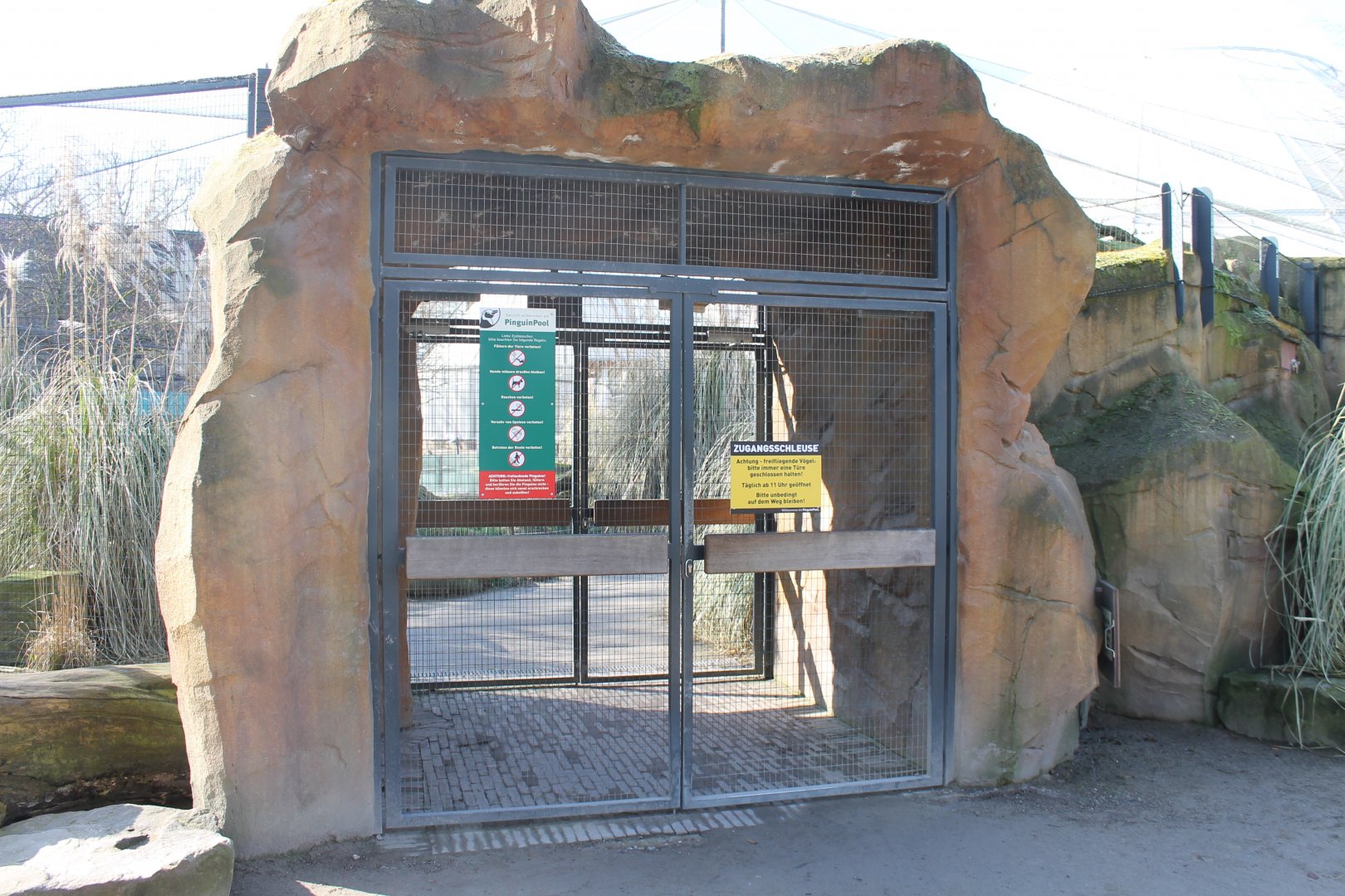 Entrance Penguin-walk through enclosure