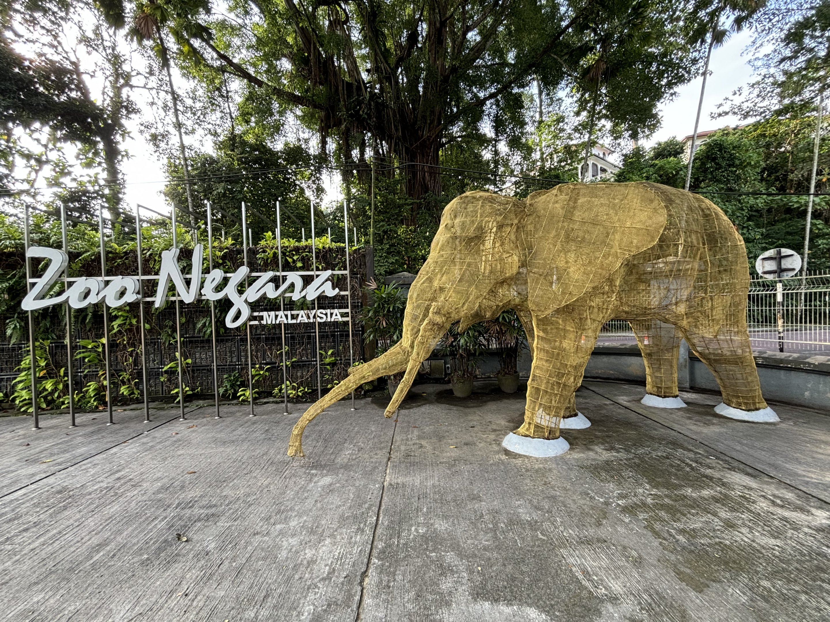 Entrance Plaza - Elephant Statue