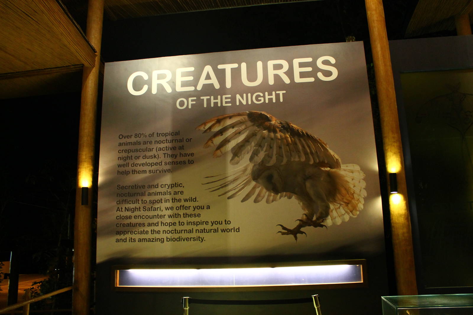 Entrance plaza expansion