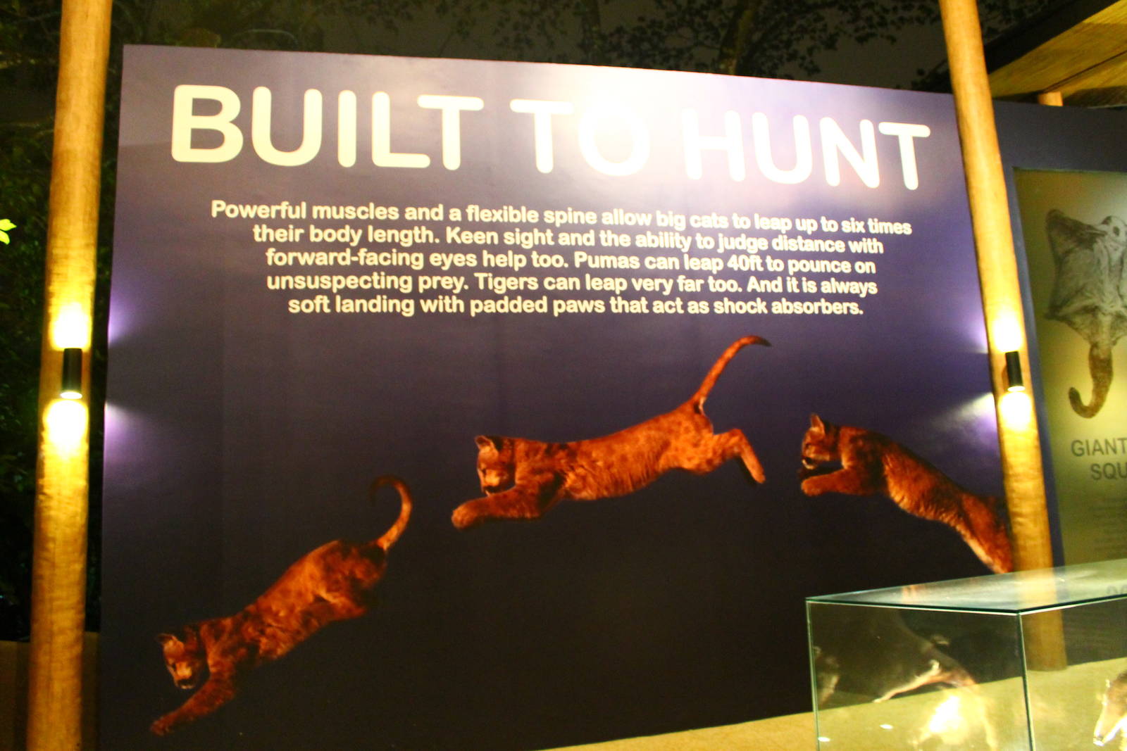 Entrance plaza expansion