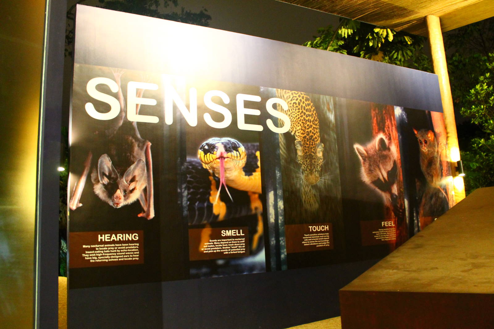 Entrance plaza expansion