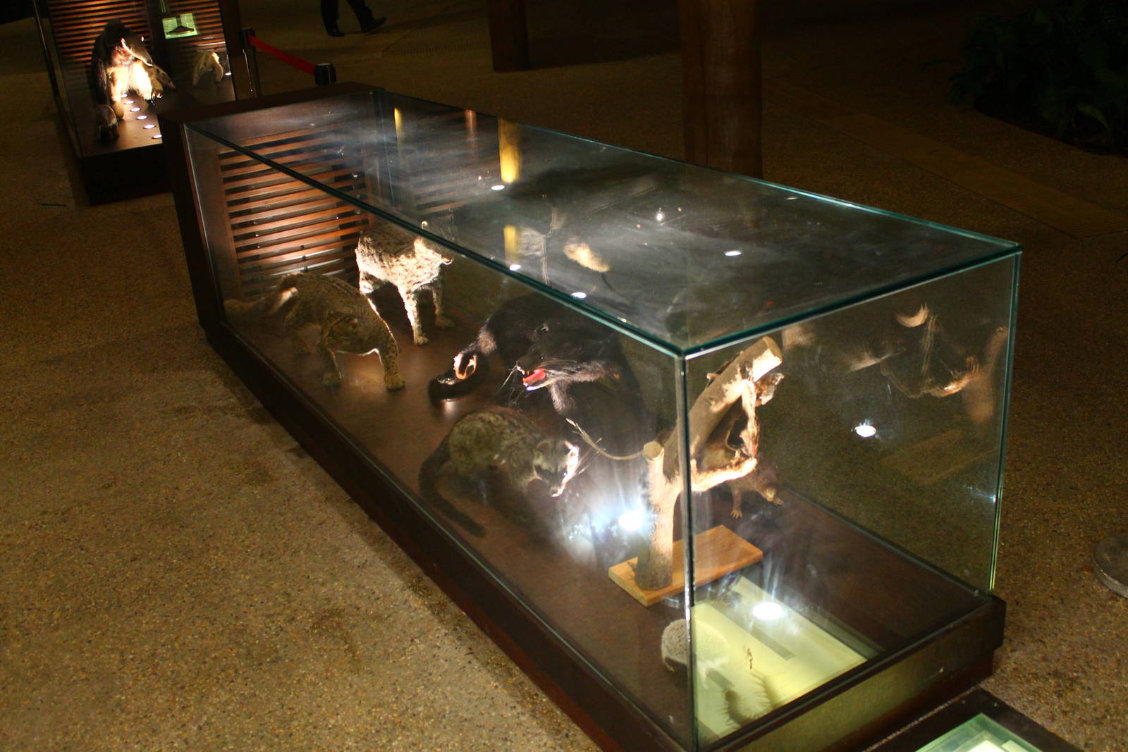 Entrance plaza expansion