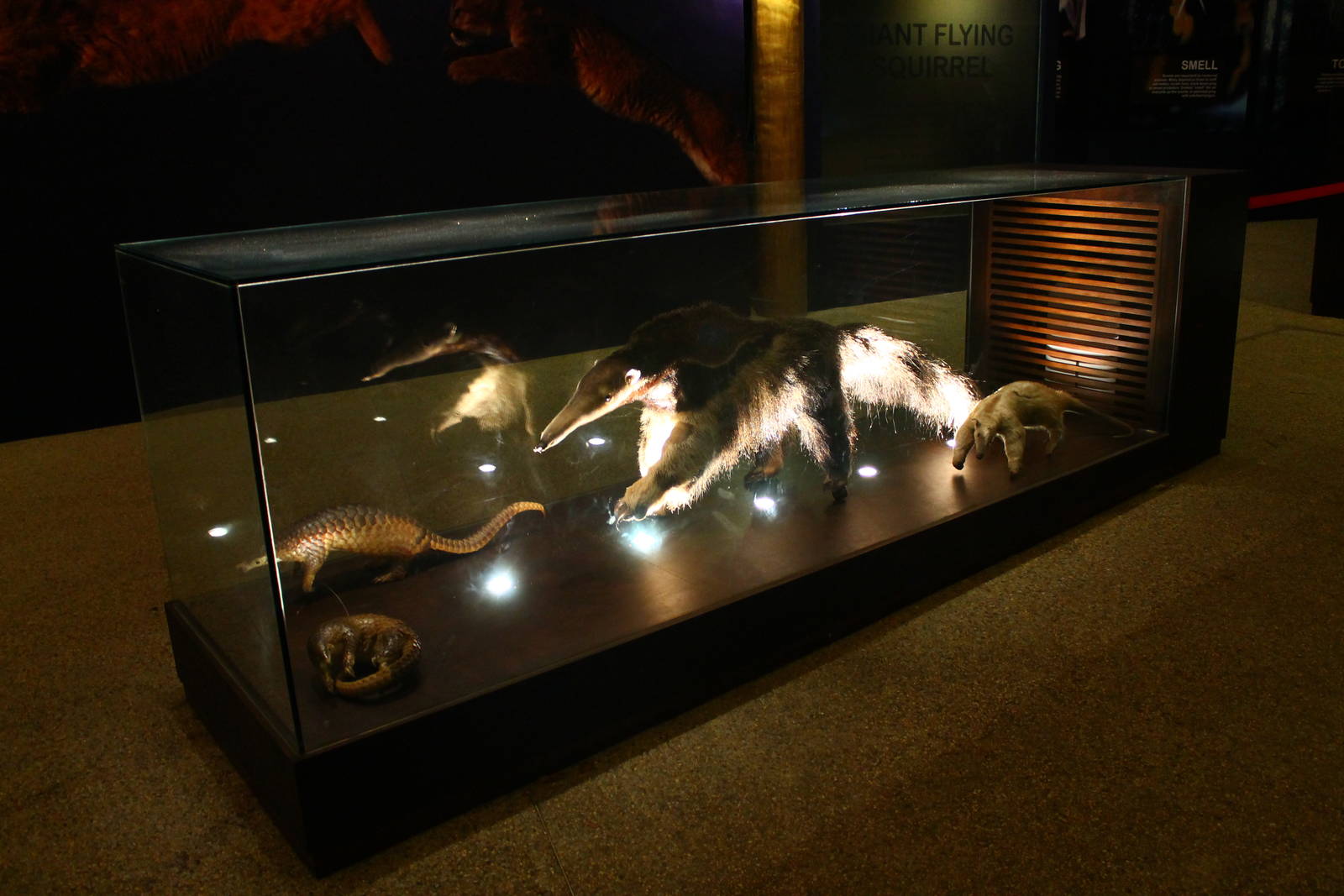 Entrance plaza expansion