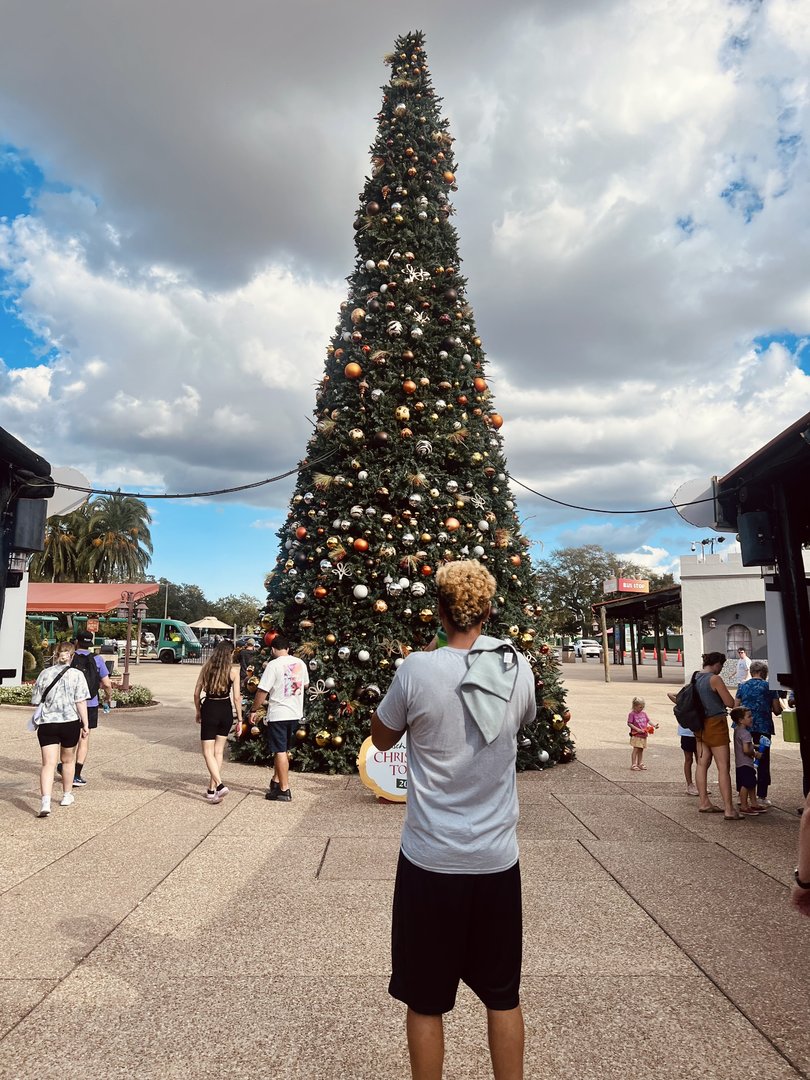 Entrance Plaza (leaving)