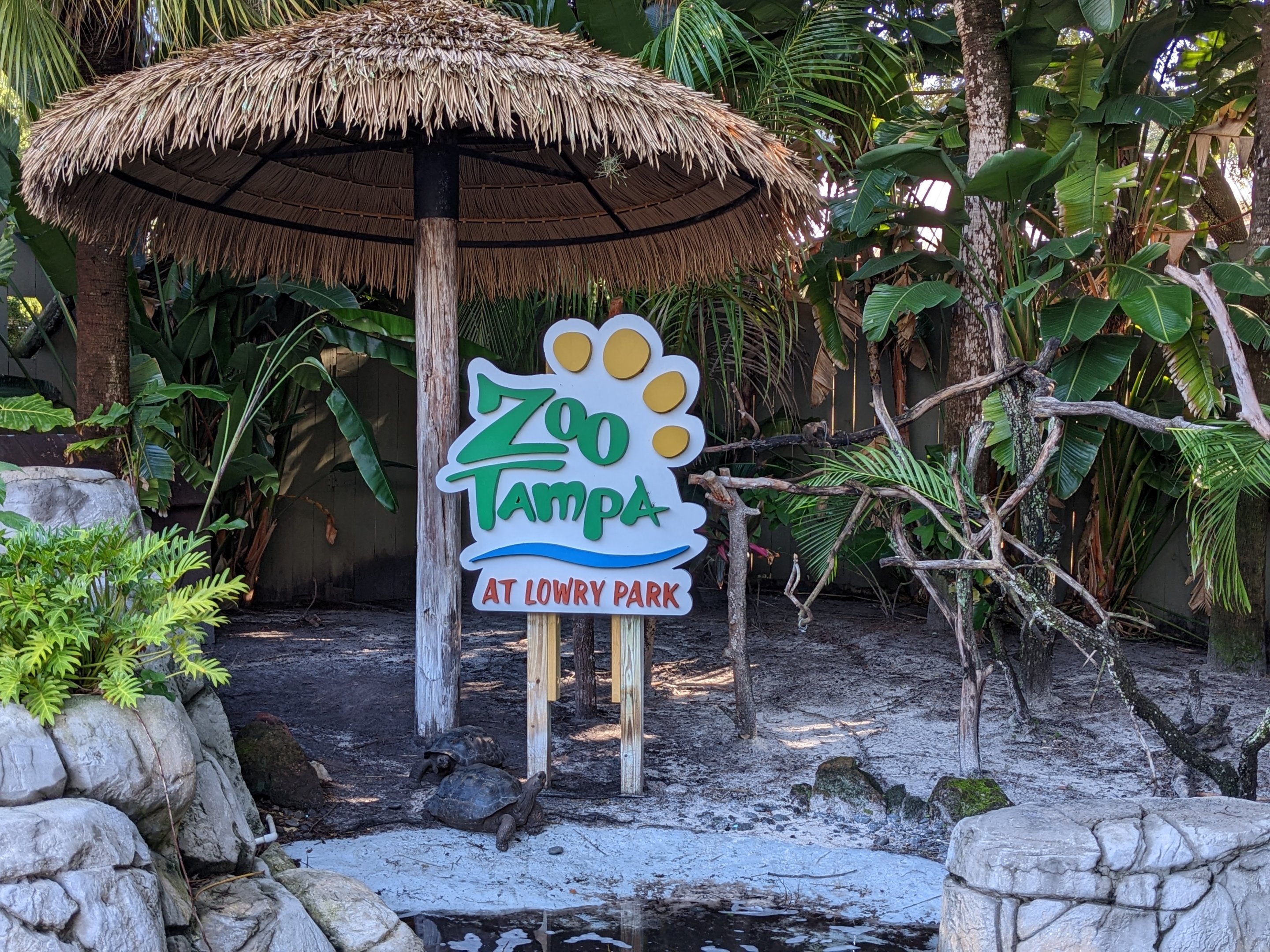 Entrance plaza - macaw and Galapagos tortoise