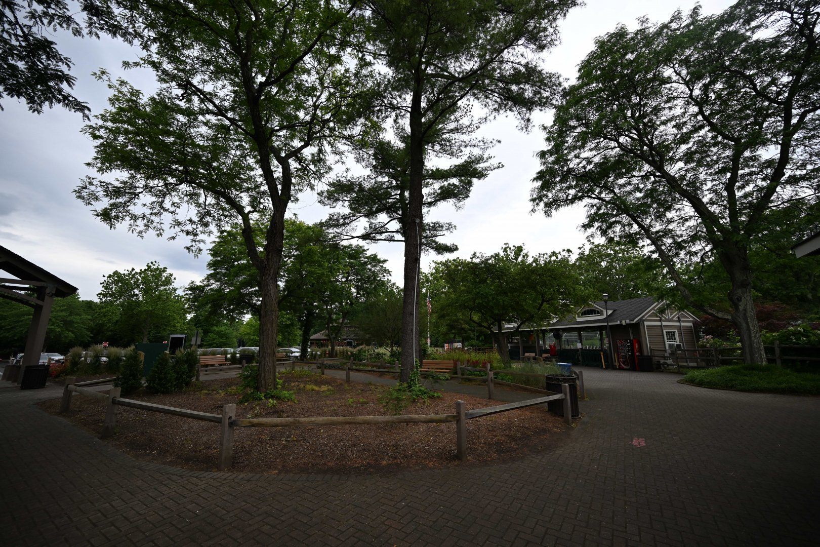 Entrance Plaza - Scenery and Landscaping