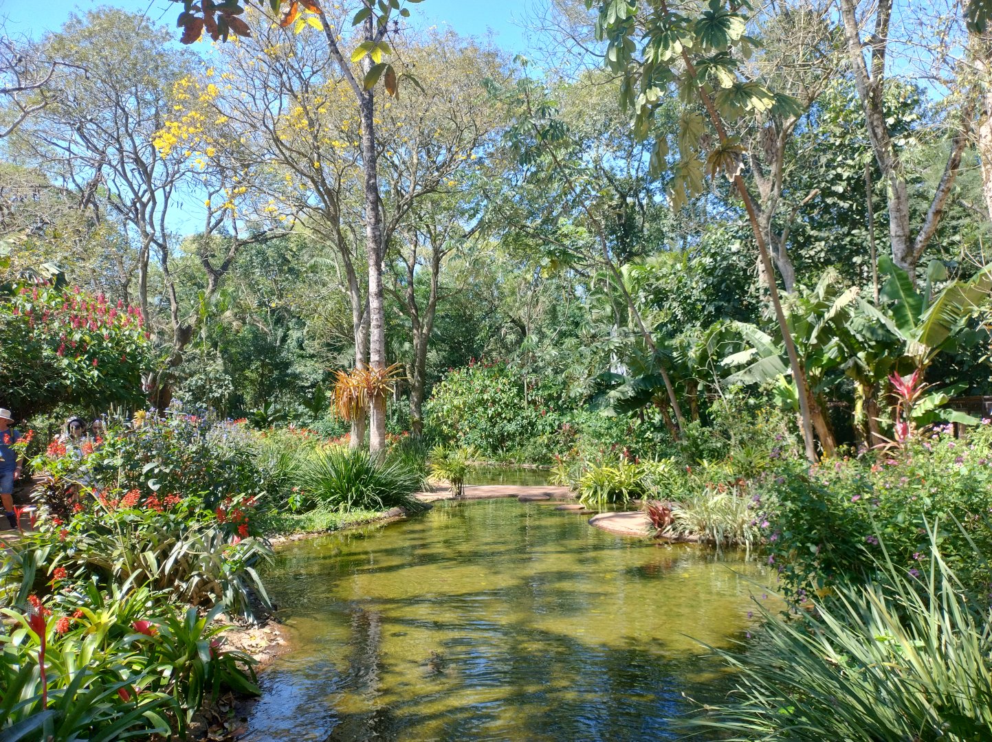 Entrance pond - Parque das Aves