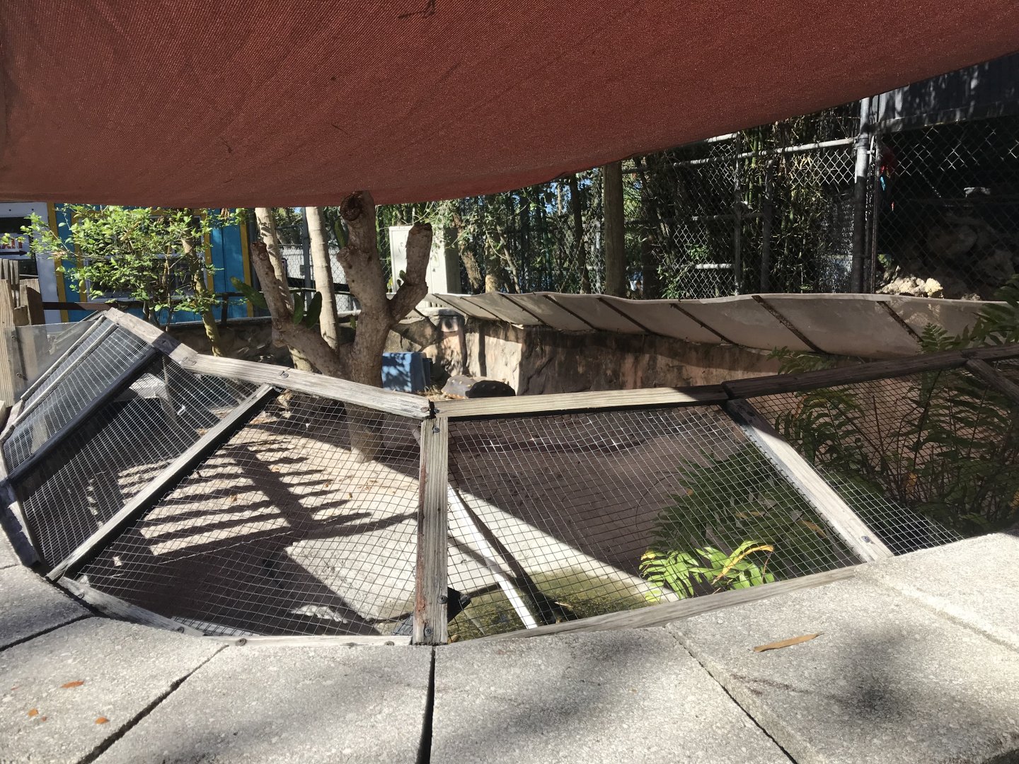 Entrance - Red-Footed Tortoise Exhibit