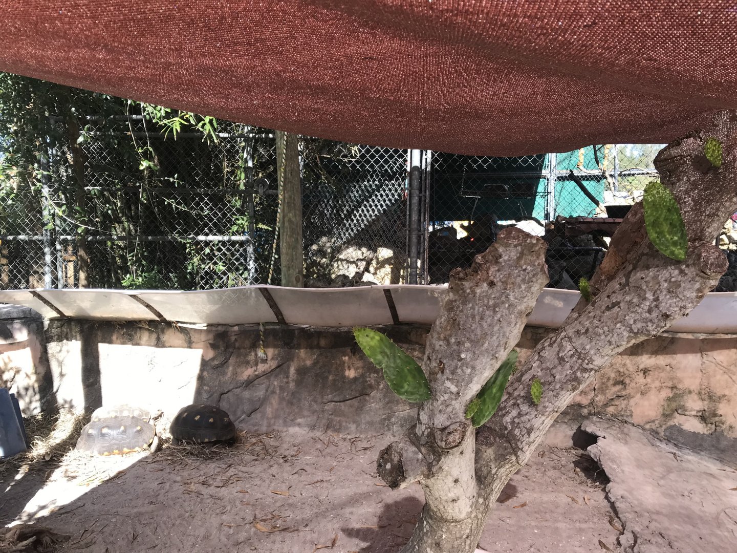 Entrance - Red-Footed Tortoise Exhibit