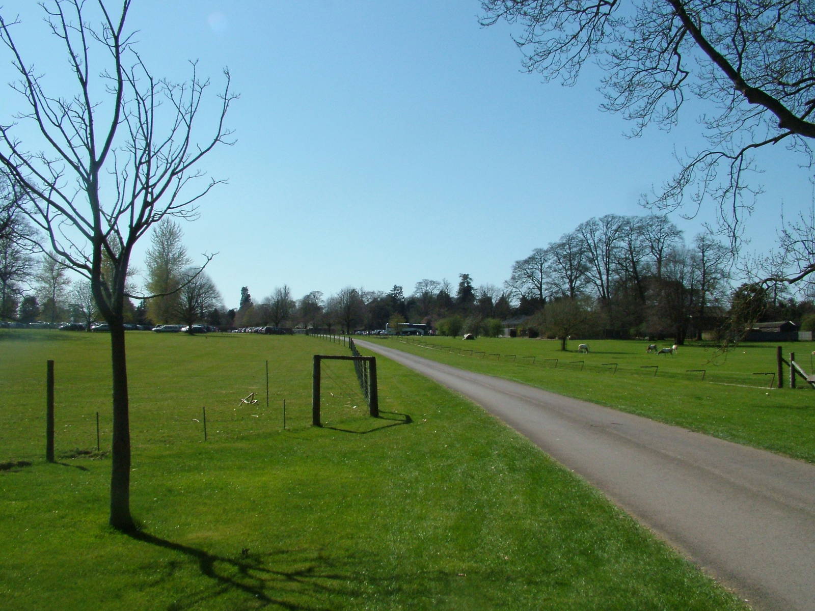 Entrance road at Cotswold WP 17/04/10
