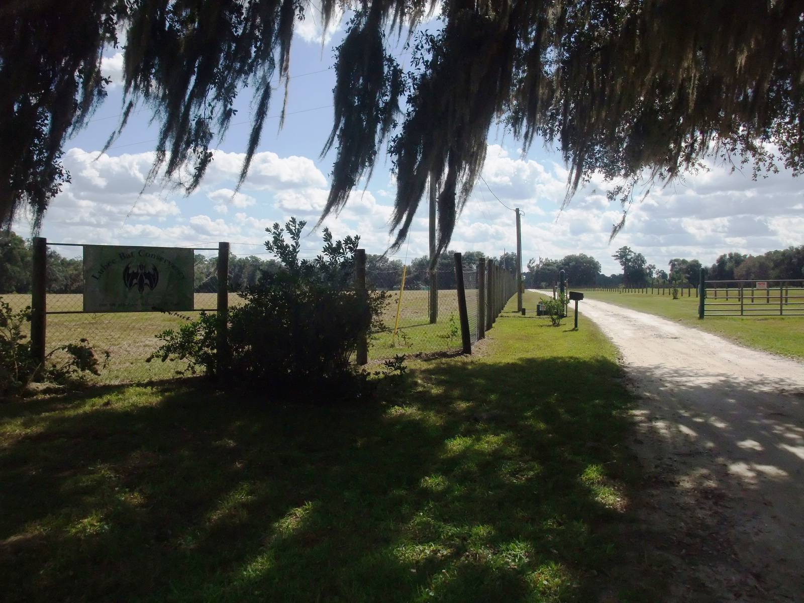 Entrance Road at Lubee Bat Conservancy, 11/10/13