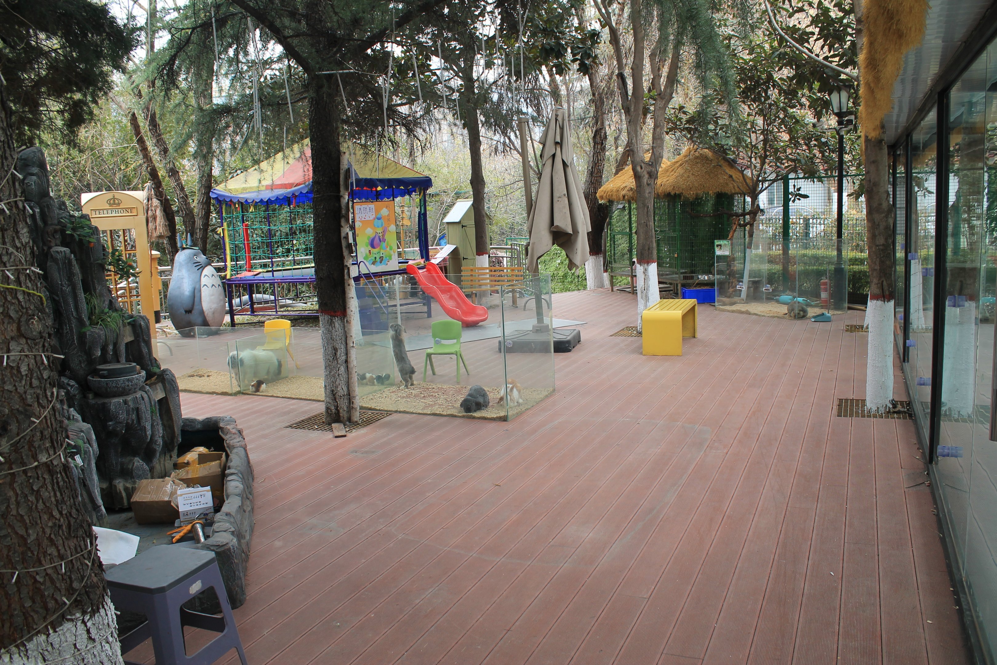 Entrance room - Zhoudao Cute Pet Paradise