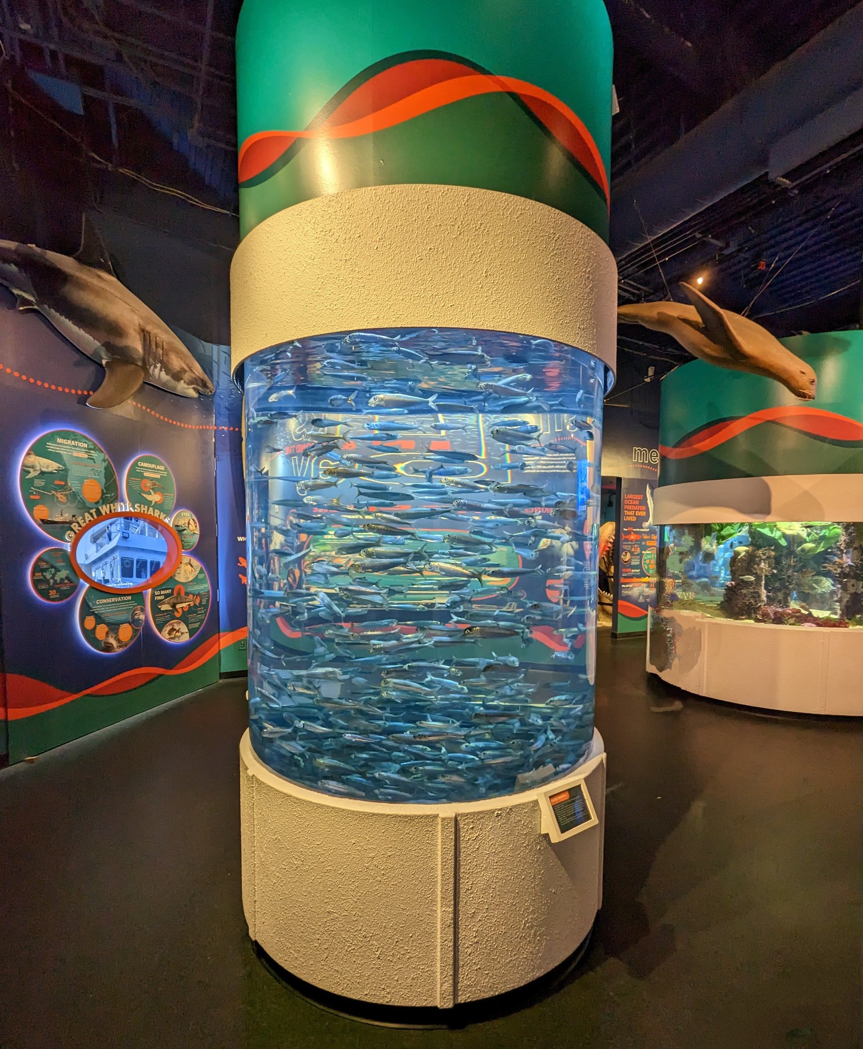 Entrance round aquarium