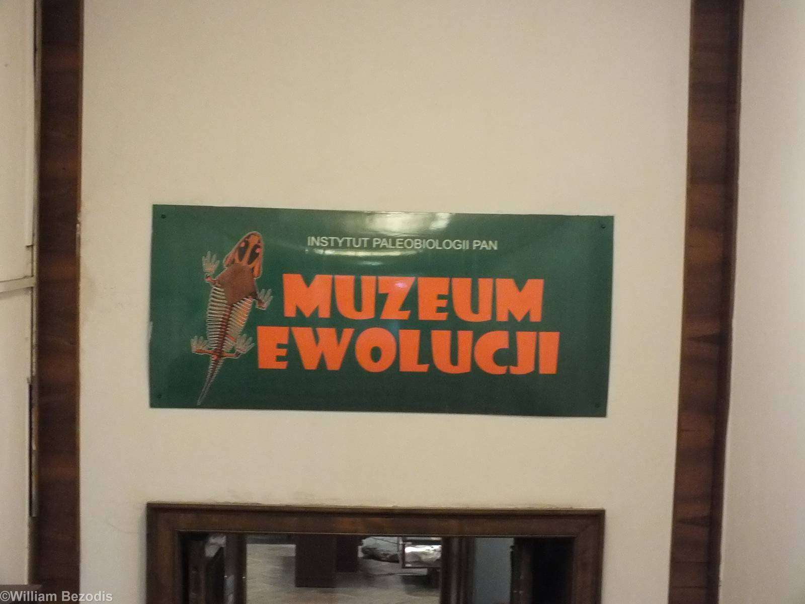 Entrance Sign Going Down into Basement - Warsaw Museum of Evolution