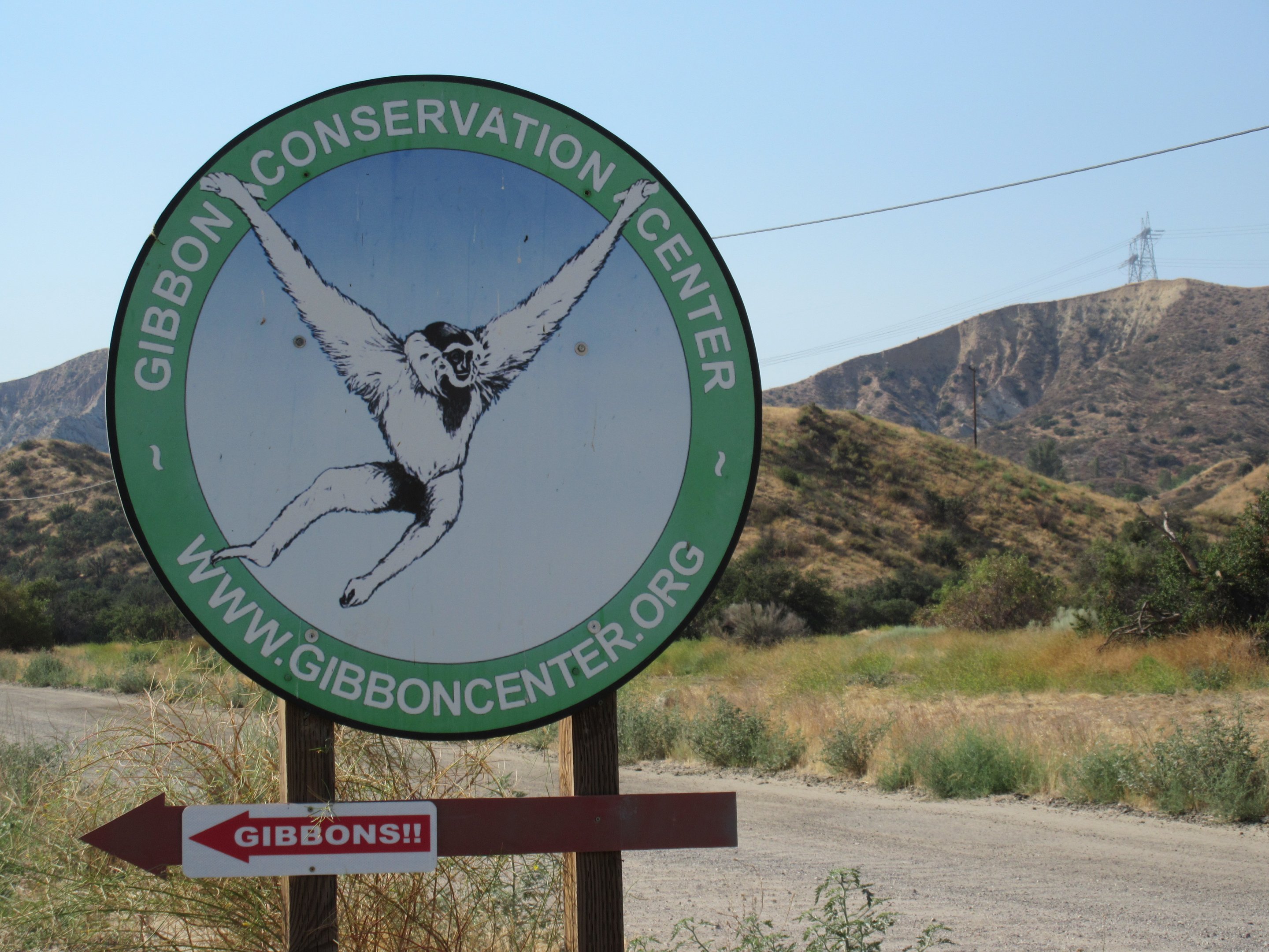 Entrance Sign + Logo