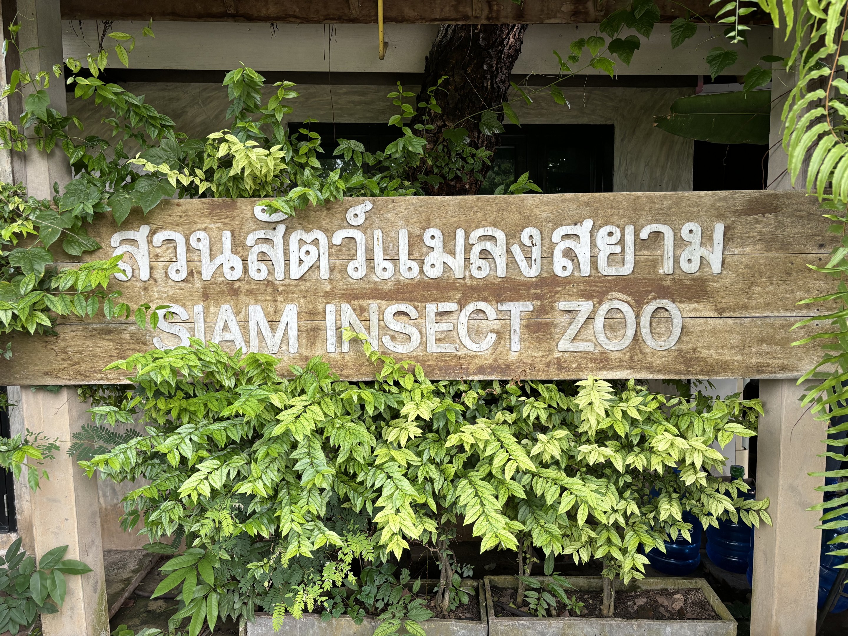 Entrance Sign