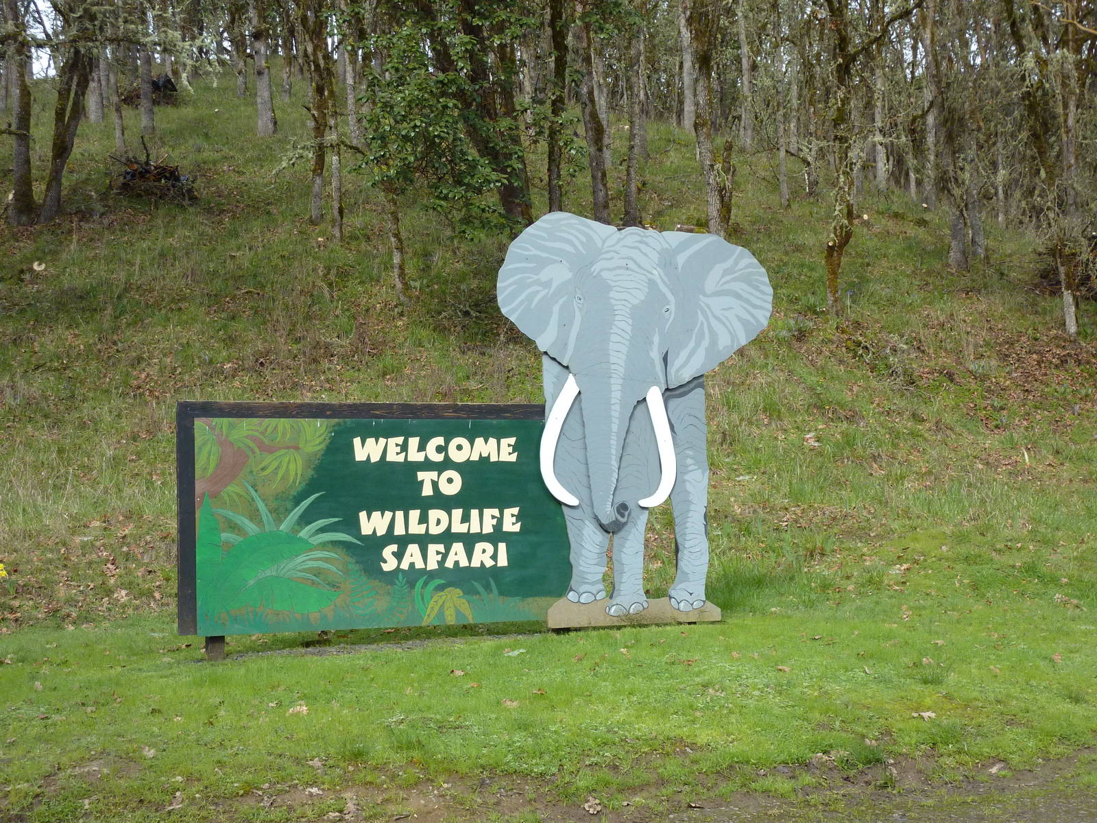 Entrance Sign