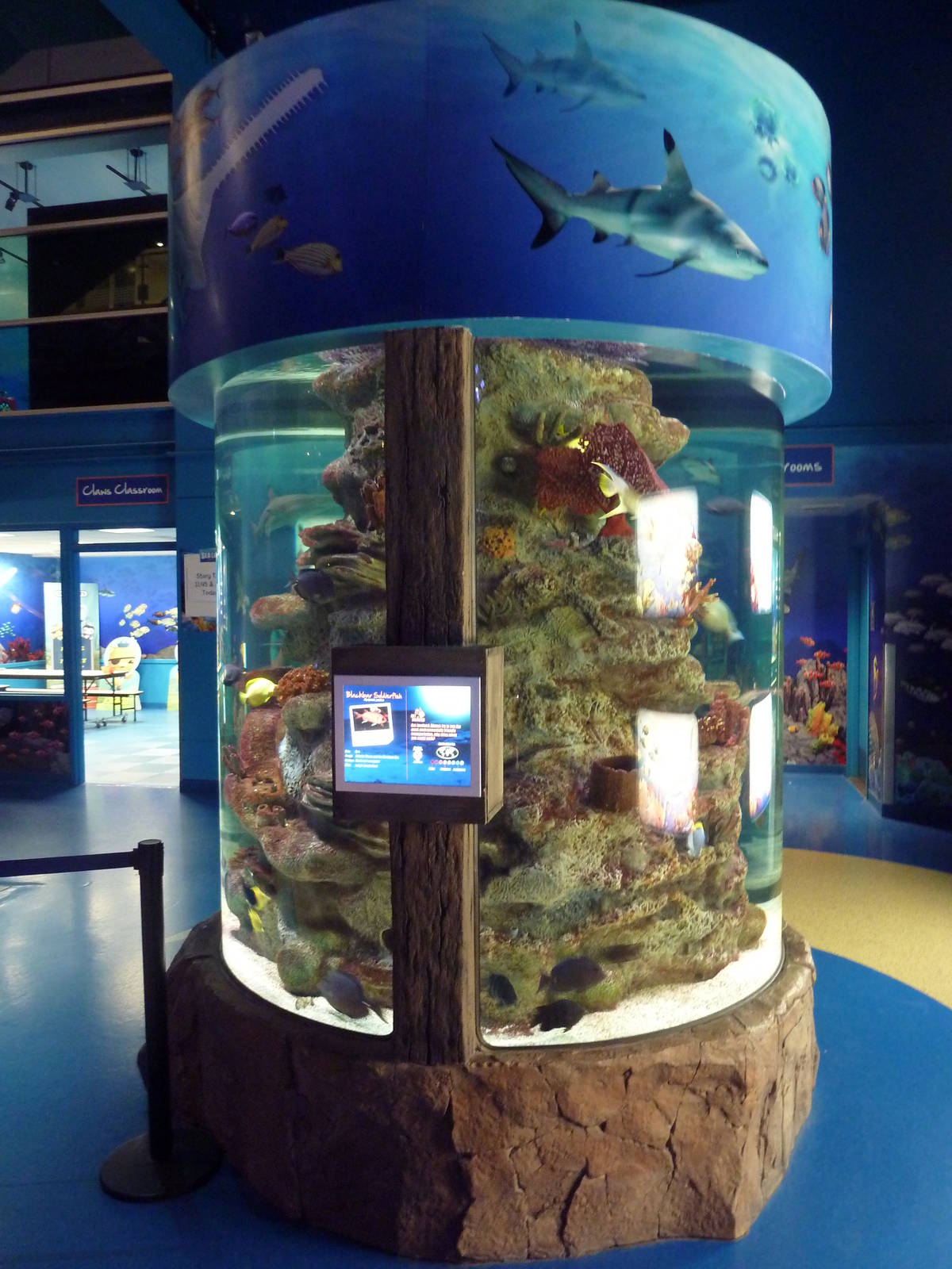 Entrance Tank