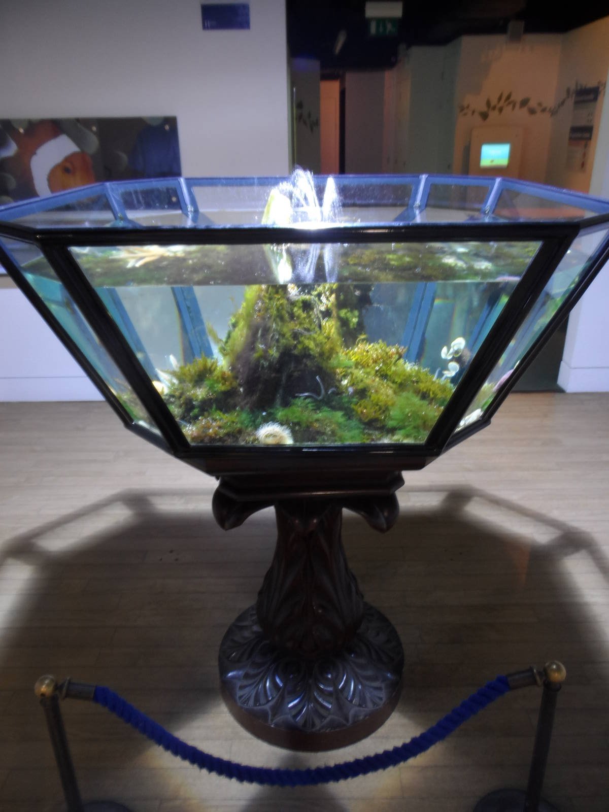 Entrance Tank
