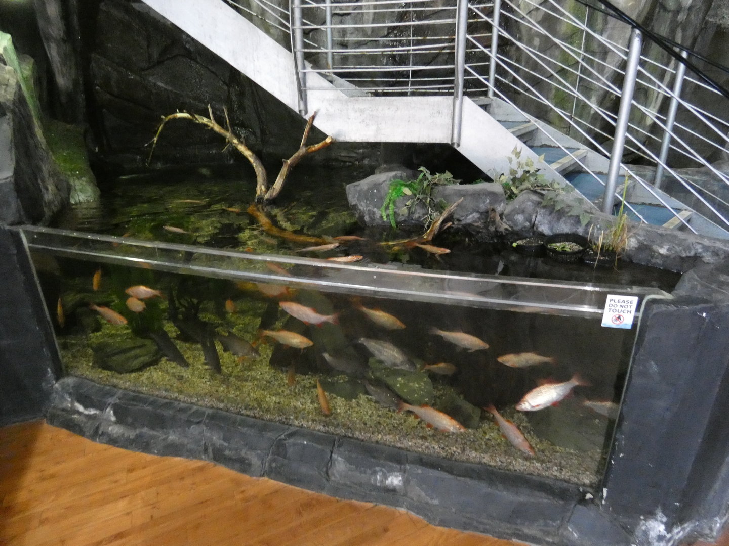 Entrance tank