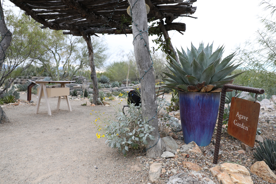 Entrance to agave garden