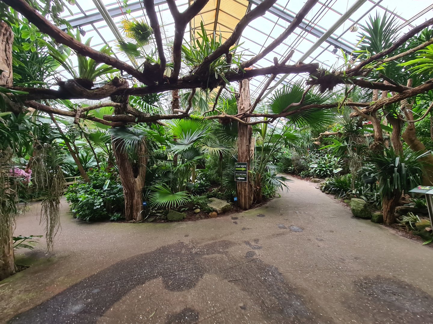 Entrance to "Amazon" hall