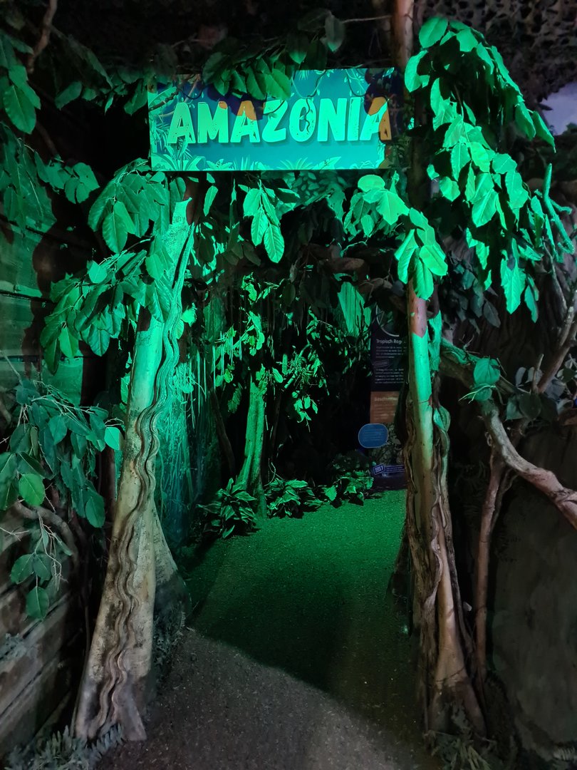 Entrance to Amazonia room