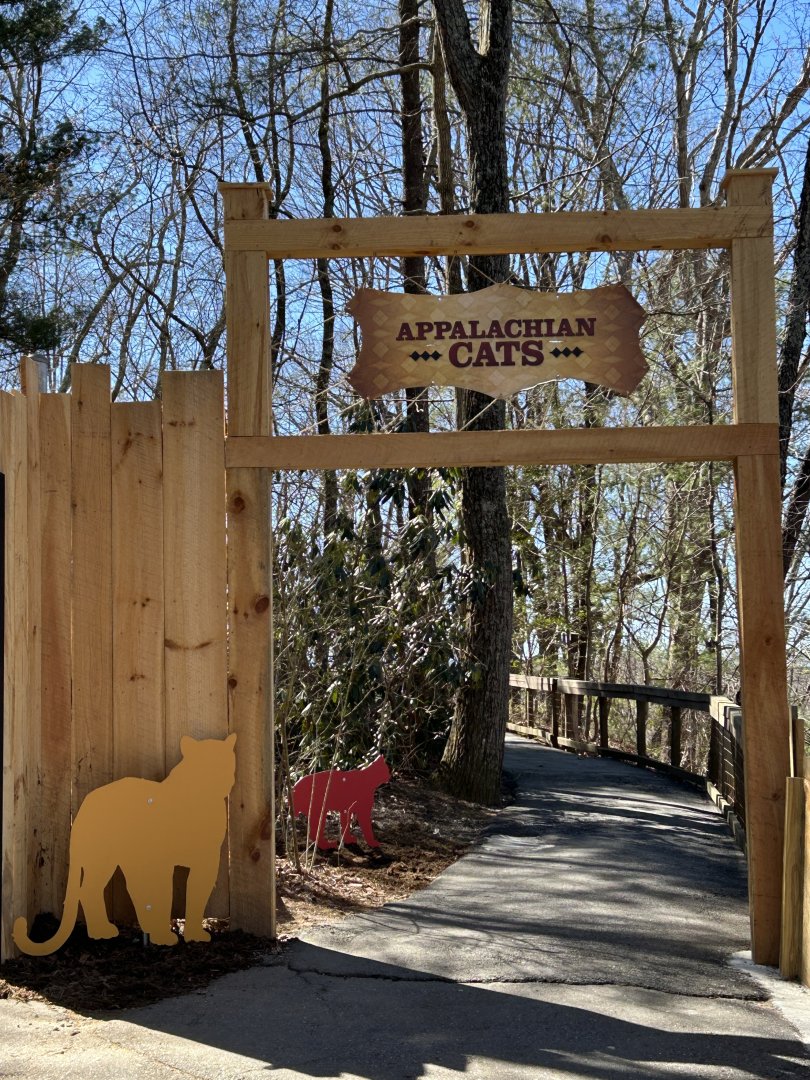 Entrance to Appalachian Cats