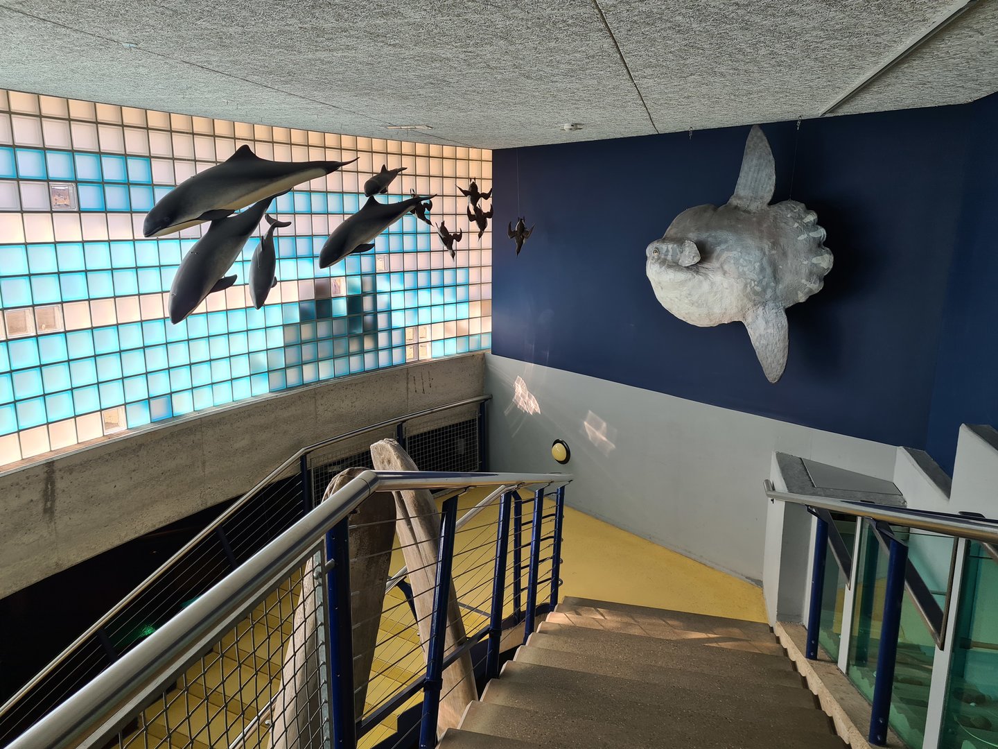 Entrance to aquarium