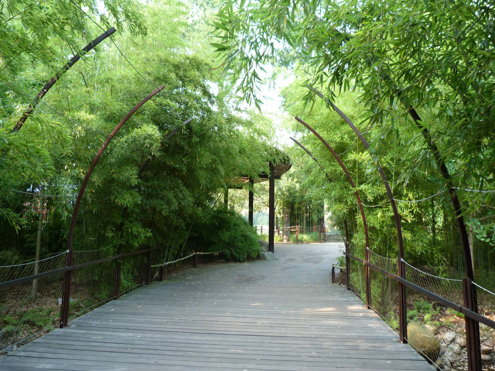 Entrance to Asia Trail